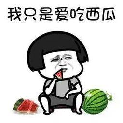 娱乐圈有什么瓜可以吃吗,揭秘明星幕后故事与热点事件  第3张